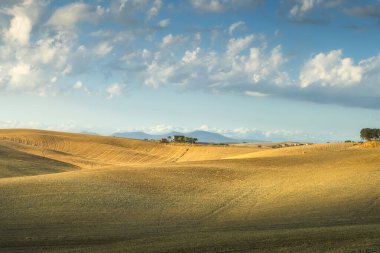 Countryside panorama in Santa Luce, in Colline Pisane. Rolling hills and cultivated fields at sunset. Province of Pisa, Tuscany region, Italy, Europe clipart