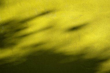 Sarı bir evin duvarına gölgeler bırakır. Fotoğraf arkaplan ya da tasarım için uygun. Grafik tasarımı için güzel ışık dokusu ve kopyalama alanı.