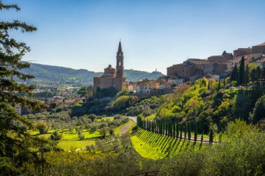 Tarihi şehir Castiglion Fiorentino ve Collegiata di San Giuliano kilisesi. Arka planda Montecchio kalesi. Arezzo ili, Toskana bölgesi, İtalya