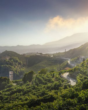 Üzüm bağları ve Prosecco Hills 'te bir yol. Unesco Dünya Mirası Alanı. Valdobbiadene, Veneto bölgesi, İtalya