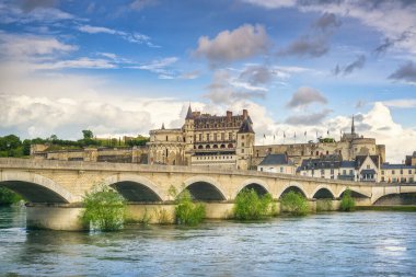 Amboise köyü, ortaçağ kalesi ve Loire nehri üzerindeki köprü. Val de Loire bölgesi, Fransa, Avrupa