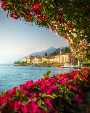 Bellagio köyü, Como Gölü 'nde ağaçlar ve çiçekler. Gün batımında portre görüntüsü. Lombardiya Bölgesi, İtalya, Avrupa.