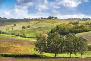 Chianti bölgesinde sonbahar, ağaçlar ve yuvarlanan tepeler. Castellina 'daki manzara Chianti, Toskana bölgesi, İtalya, Avrupa