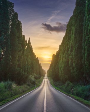 The cypress tree-lined avenue of Bolgheri and the sun in the middle. This is the historic boulevard of Carducci's poetry Davanti San Guido. Alta Maremma, Tuscany region, Italy, Europe.