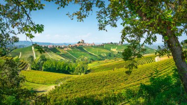 Langhe üzüm bağları manzarası ve bir ağaç, arka planda Serralunga d 'Alba köyü, Piedmont, Kuzey İtalya Avrupa.