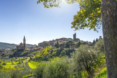 Tarihi şehir Castiglion Fiorentino ve Collegiata di San Giuliano kilisesi. Arka planda Montecchio kalesi. Arezzo ili, Toskana bölgesi, İtalya