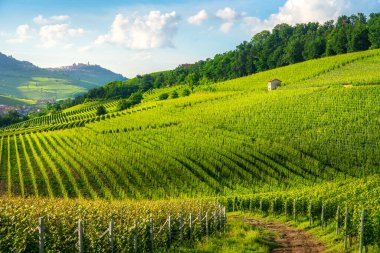 Langhe üzüm bağları manzaralı ve Barolo ve La Morra köyleri arka planda, Piedmont bölgesinde. İtalya, Avrupa.