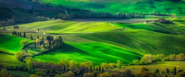 Bir yolun panoramik manzarası ve Montepulciano civarındaki bazı çiftlik evleri, Val di Chiana. Siena ili, Toskana bölgesi, İtalya, Avrupa