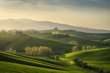 Baharda Orciano Pisano kırsalında gün batımı. Colline Pisane 'deki Rolling Hills ve ağaçlar, Pisa ili, Toskana bölgesi, İtalya
