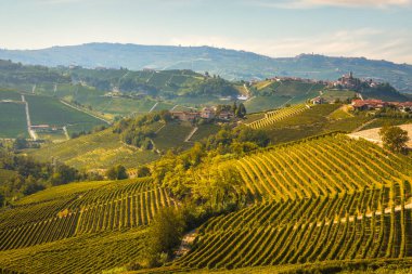 Langhe tepeleri ve üzüm bağları manzarası. Castiglione Falletto köyü. Unesco Sitesi, Piedmont bölgesi, İtalya Avrupa.