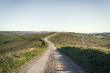Lucignano d 'Asso kırsalında dolambaçlı bir yol. Montalcino, Siena ili, Toskana bölgesi, İtalya, Avrupa