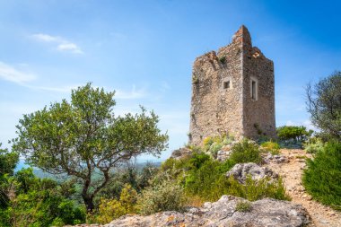 Castelmarino Kulesi ve Parco della Maremma 'da Uccellina Park olarak da bilinen bir ağaç. Grosseto ili, Toskana bölgesi, İtalya, Avrupa.
