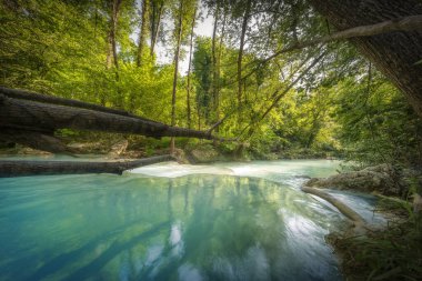 Elsa Nehri ve Sentierelsa yolu boyunca uzanan ağaçlar. Colle di Val d 'Elsa, Siena ili, Toskana bölgesi, İtalya, Avrupa