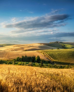 Toskana 'da kırsal bir manzara, gün batımında tepeler ve buğday tarlaları. Santa Luce, Pisa vilayeti. İtalya