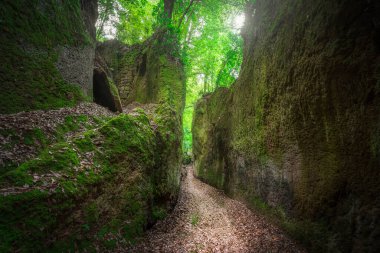 Via Cava San Rocco, İtalya 'nın Grosseto, Toskana bölgesinde Sorano, Maremma' nın arkeolojik bölgesinde etruz çağının kazılı yolu..