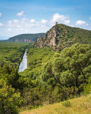 Parco della Maremma 'nın panoramik görüntüsü Uccellina Park olarak da bilinir. Kule, orman ve su kanalı. Grosseto ili, Toskana bölgesi, İtalya, Avrupa.