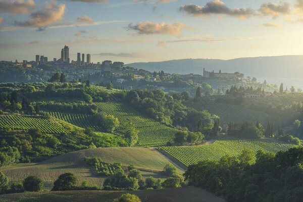 Famous San Gimignano medieval town with iconic stone towers overlooking rolling countryside with vineyards at golden sunset, province of Siena, Tuscany region, Italy