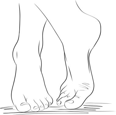 Güzel kadın ayakları. Gerçekçi insan ayaklarının el çizimi tasviri. Sağlıklı ayak.