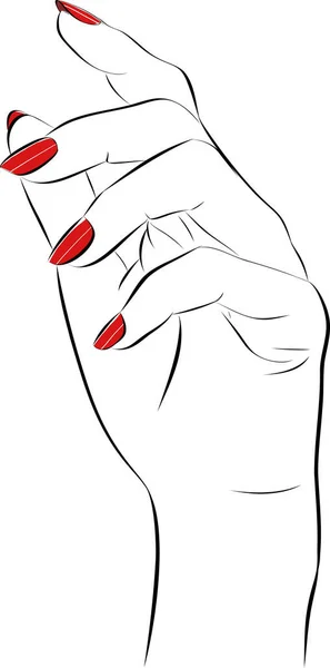 漂亮的女人手 长红指甲修指甲 指甲油沙龙 矢量草图说明 — 图库矢量图片