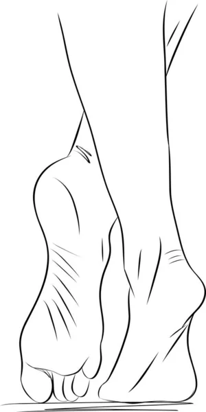 Beautiful Female Feet Hand Drawn Vector Illustration Realistic Human Feet — Stock Vector