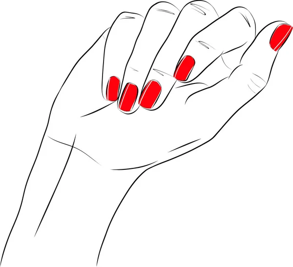 漂亮的女人手 长红指甲修指甲 指甲油沙龙 矢量草图说明 — 图库矢量图片