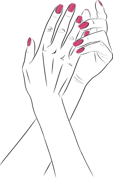 長い赤い釘のマニキュア 釘のポーランド人のサロン ベクターのスケッチのイラストが付いている美しい女性の手 — ストックベクタ