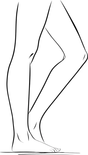 Силуэты Женских Ног Ног Векторная Иллюстрация Стройные Длинные Элегантные Женские — стоковый вектор