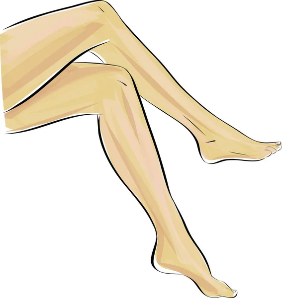 Silhouettes Női Lábak Lábak Vektor Illusztráció Vékony Hosszú Elegáns Női — Stock Vector