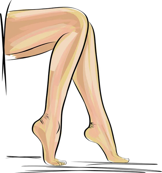 Silhouettes Jambes Pieds Dame Illustration Vectorielle Slim Longues Élégantes Jambes — Image vectorielle