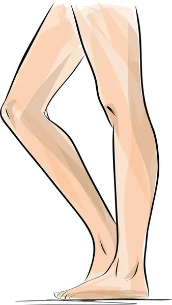 Silhouettes Lady Legs Feet Vector Illustration Slim Long Elegant Woman — Stock Vector