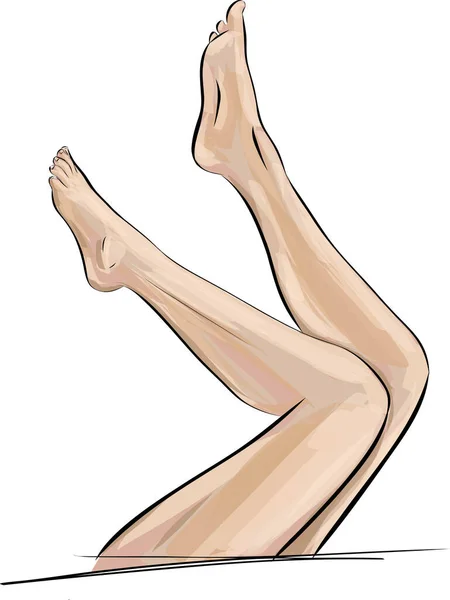 女性の足と足のシルエット ベクターイラストスリム ロング エレガントな女性の足と足 脚のデザイン要素 — ストックベクタ