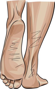 Güzel kadın ayakları. Gerçekçi insan ayaklarının el çizimi tasviri. Sağlıklı ayak.