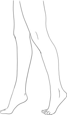 Güzel kadın ayakları. Gerçekçi insan ayaklarının el çizimi tasviri. Sağlıklı ayak.