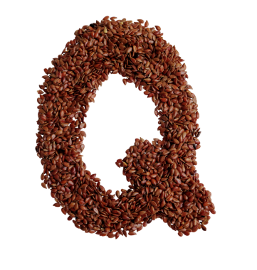 Keten tohumu olarak da bilinen Q harfi şeffaf arkaplanda izole edilmiştir.