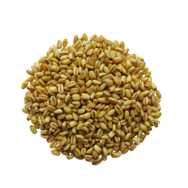 Şeffaf arkaplanda izole edilmiş çiğ buğday yığını