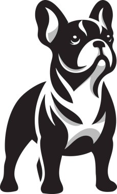 Yarasa kulaklı ve kaslı bir Fransız Bulldog 'unun şık bir çizimi. Evcil hayvan tasarımları, markalaşma, baskılar ve eğitim materyallerinde kullanım için ideal.