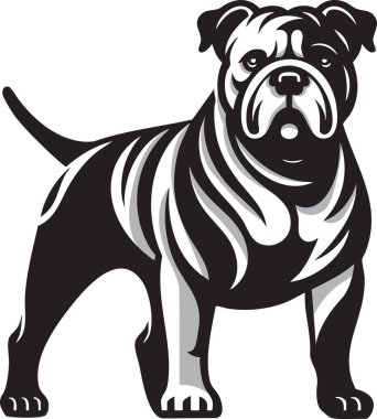 illustration of an American Bulldog, showcasing its muscular build and distinctive features.Ideal for use in pet related designs, branding, prints, and educational materials.