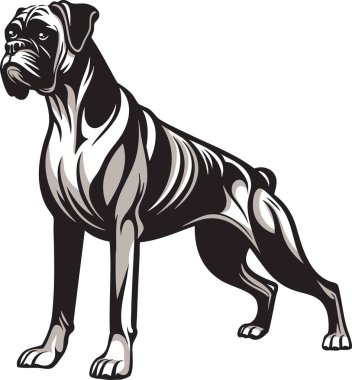 Regal Boxer köpeği oturarak poz veriyor. Sanat eserleri, cinsin ayırt edici kas yapısını, anlamlı yüzünü ve karmaşık gölgeleme ve kalın çizgilerle süslü ceketini yakalar. Evcil hayvan tasarımları, markalaşma, baskılar ve eğitim materyallerinde kullanım için ideal.