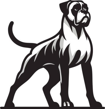 Regal Boxer köpeği oturarak poz veriyor. Sanat eserleri, cinsin ayırt edici kas yapısını, anlamlı yüzünü ve karmaşık gölgeleme ve kalın çizgilerle süslü ceketini yakalar. Evcil hayvan tasarımları, markalaşma, baskılar ve eğitim materyallerinde kullanım için ideal.