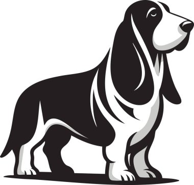 Uzun kulaklı ve sarkık suratlı Basset Hound köpeği tasviri. Evcil hayvan temalı projeler, tasarım şablonları, hayvan severler ve köpek içeriği için mükemmel