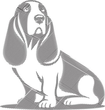 Uzun kulaklı ve sarkık suratlı Basset Hound köpeği tasviri. Evcil hayvan temalı projeler, tasarım şablonları, hayvan severler ve köpek içeriği için mükemmel