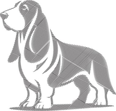 Uzun kulaklı ve sarkık suratlı Basset Hound köpeği tasviri. Evcil hayvan temalı projeler, tasarım şablonları, hayvan severler ve köpek içeriği için mükemmel