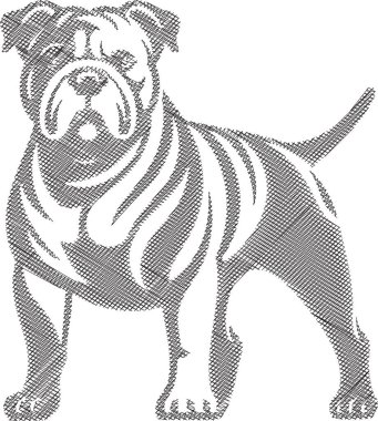 Amerikan Bulldog 'unun tasviri, kaslı yapısını ve ayırt edici özelliklerini gözler önüne seriyor. Evcil hayvan tasarımları, markalaşma, baskılar ve eğitim materyallerinde kullanım için ideal.