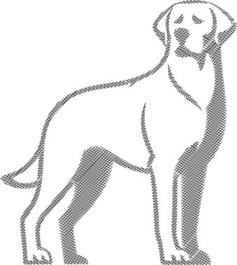 Labrador Retriever 'ın neşeli ve sadık kişiliğini gözler önüne seren aile odaklı ya da evcil hayvan temalı projeler için mükemmel bir tasviri.