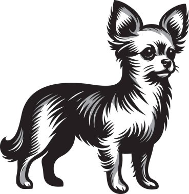 tüm gövde çizimi Chorkie köpek, hayvan tasarımları, markalaşma, baskılar ve eğitim materyallerinde kullanmak için ideal.