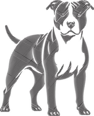 Bir Pitbull Terrier 'ın çekici ve canlı bir görüntüsü, kaslı yapısını ve dostça davranışını yansıtıyor. Güç, sadakat ve arkadaşlığı vurgulamak için mükemmel bir tasarım..