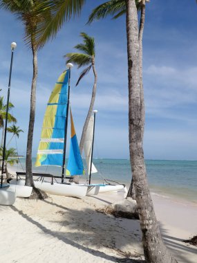 Bir Hobie Cat (Hobie Catamaran) el değmemiş tropikal bir plaja demirlemiş, palmiye ağaçları ve turkuaz sularla çevrili, sakin bir sahil ortamında macera ve rahatlığın mükemmel bir karışımını sergiliyor.