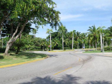 Canlı yeşil palmiye ağaçları, manikürlü çimenler ve dolambaçlı asfalt yolu içeren verimli bir tropikal bahçe. Sahne sükunet ve doğal güzellik yayar. Rahatlamak ve rahatlamak için mükemmeldir..