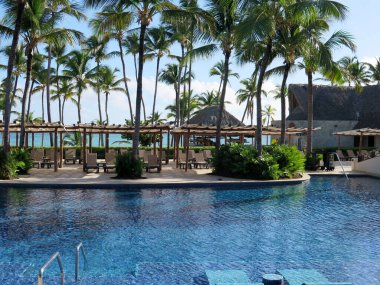 Bereketli palmiye ağaçları, canlı çiçekler ve berrak mavi gökyüzünün altında çarpıcı bir okyanus manzarası ile çevrili sakin bir tropik tatil köyü havuzu..