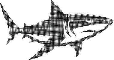 Geometrik desenlerden ve çizgilerden oluşan bir köpekbalığının canlı ve soyut çizimi.